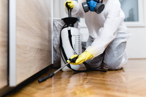 Reliable Greentree, NJ Pest Control Solutions