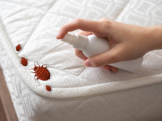 Best Pest Removal Services  in Greentree, NJ