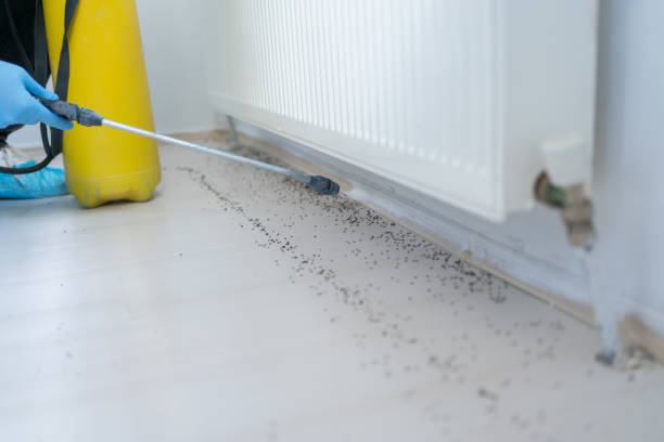 Best Commercial Pest Control Services  in Greentree, NJ