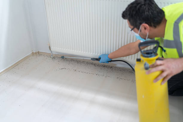 Best Pest Control Near Me  in Greentree, NJ