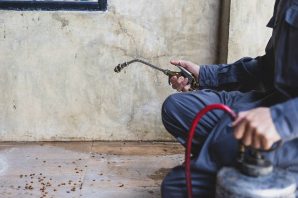 Best Exterminator Services  in Greentree, NJ